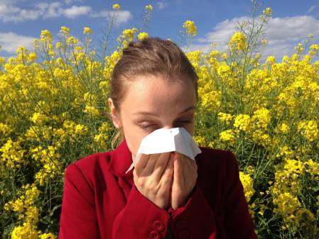 Naturheilkunde - Allergien